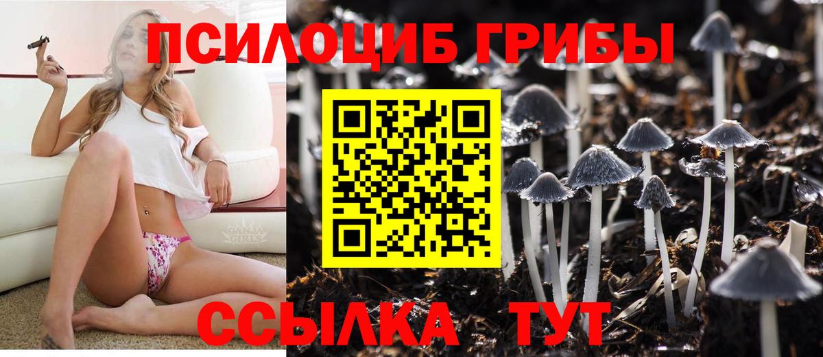 Галлюциногенные грибы ЛСД Бахчисарай
