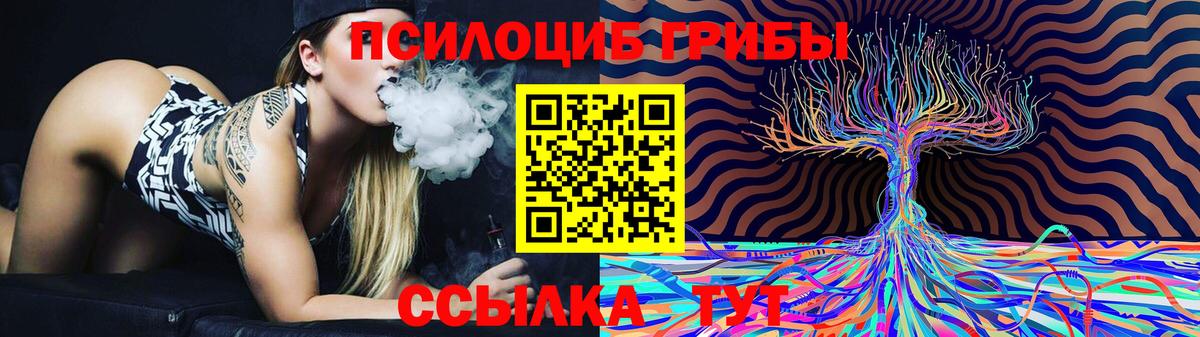 Псилоцибиновые грибы GOLDEN TEACHER  Псилоцибиновые грибы MAGIC MUSHROOMS  Вход с VPN  Бахчисарай 